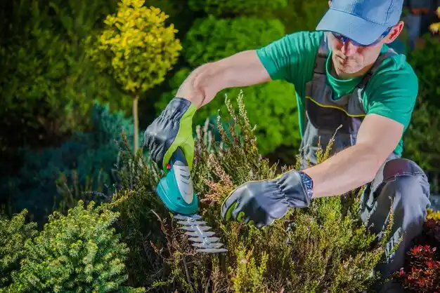 landscaping services Bucklin